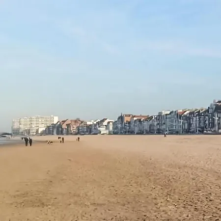 Belle Proche * Bray-Dunes